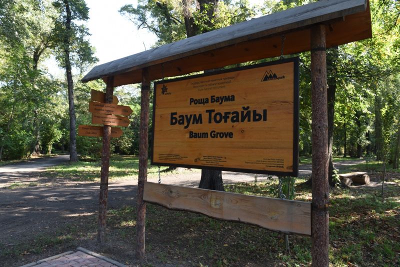 Экодорожки, освещение и камеры: рощу Баума благоустроят в Алматы