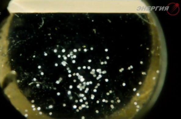 На МКС «напечатают» аналог трубчатых органов человека