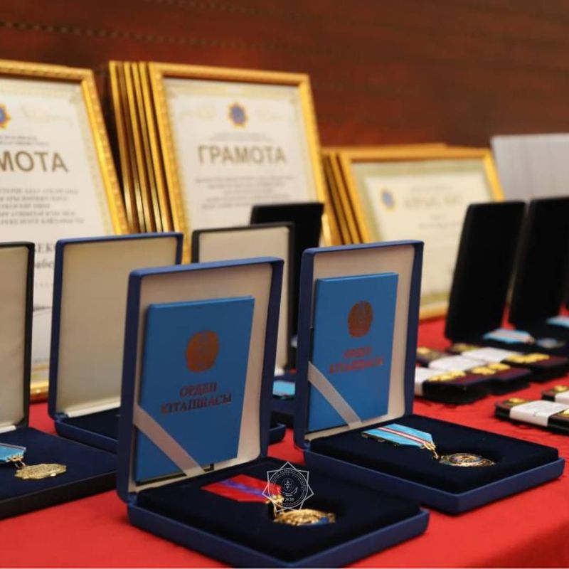 Семь сотрудников МЧС получили государственные награды