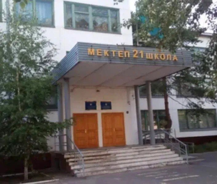 Омбудсмен выступила в защиту мальчика, ударившего ножом школьников в Павлодаре