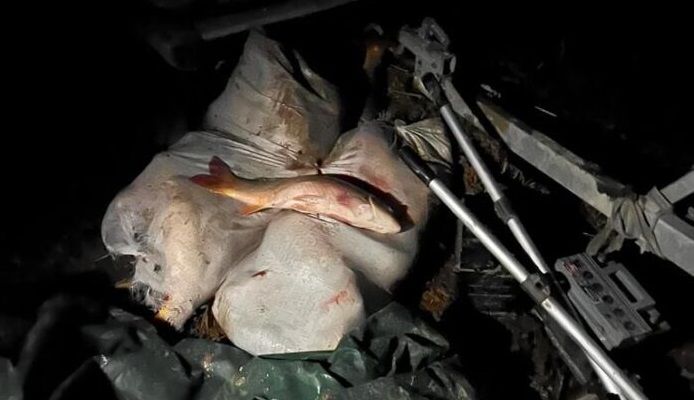 Трех браконьеров ищут в Туркестанской области