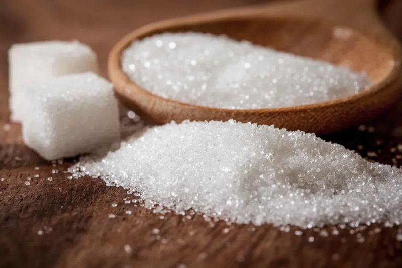 В Жамбылской области хотят построить сахарный завод мощностью в миллион тонн