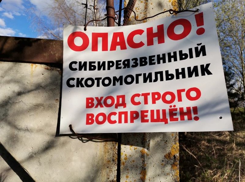 46 опасных скотомогильников обнаружили в Алматинской области