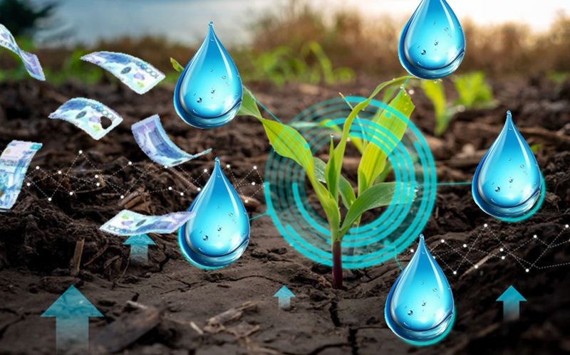 Сельхозникам Карагандинской области выставят новый ценник за воду