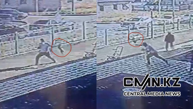 Мужчина избил щенка на территории детского сада в Атырау 