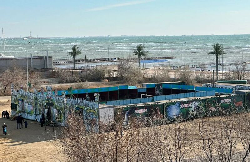 Передвижной зоопарк в Актау проверит природоохранная прокуратура