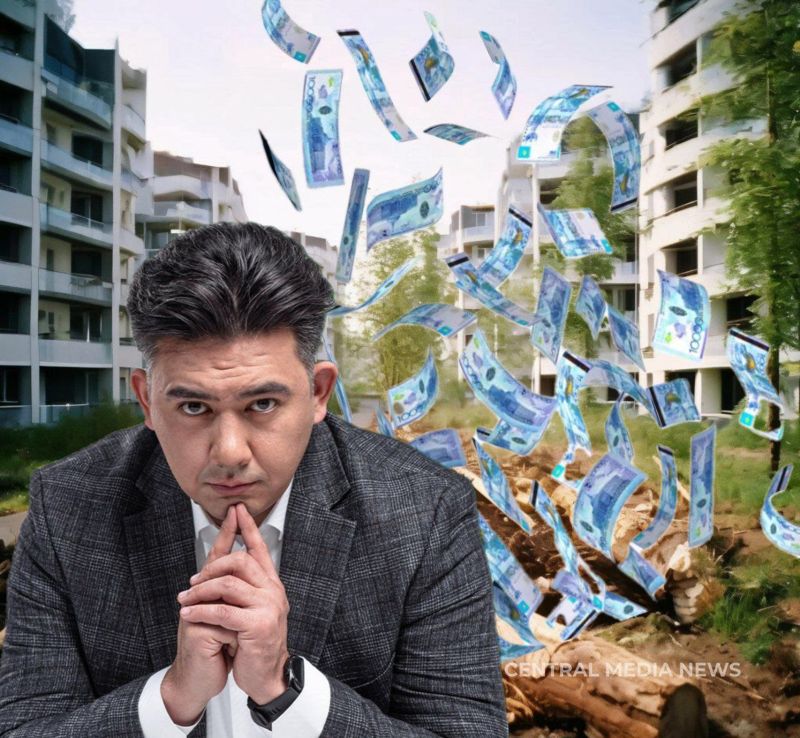 Сосновый Бор и место под АЗС: как экс-компания депутата Елеусизова вырубает деревья под застройку ЖК