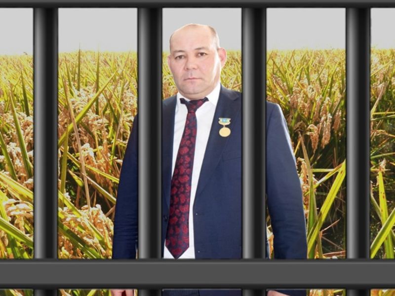 Операция «клевер»: экс-акиму и крупному аграрию грозит до 12 лет тюрьмы