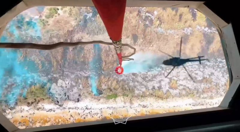 Пожар в Иле-Балхашском резервате потушили – МЧС