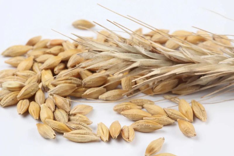 Фермеры шести областей нуждаются в дополнительном газе и дизтопливе для сушки зерна