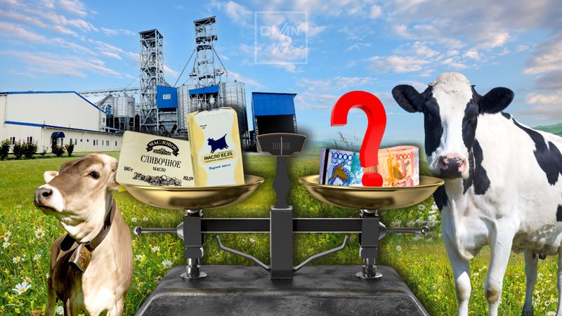 Опустошит ли полки казахстанских магазинов российский дефицит сливочного масла
