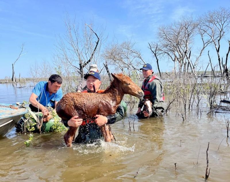 Половодье завершилось во всех регионах Казахстана