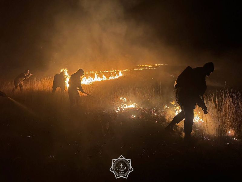 В МЧС рассказали о состоянии пострадавших в крупном степном пожаре