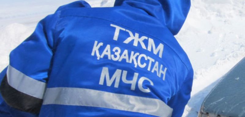 То котенок, то верблюд: казахстанцы просят МЧС спасти животных