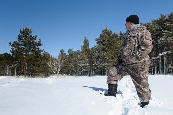 Больше 300 тысяч за ёлку: костанайцев просят не ходить в лес с топором