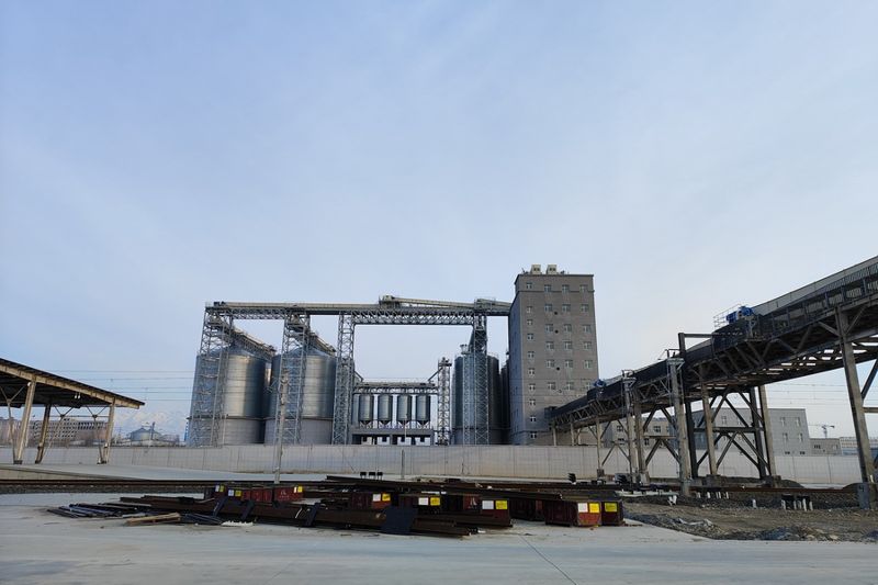 В Хоргосе ввели терминал для приема казахстанского зерна