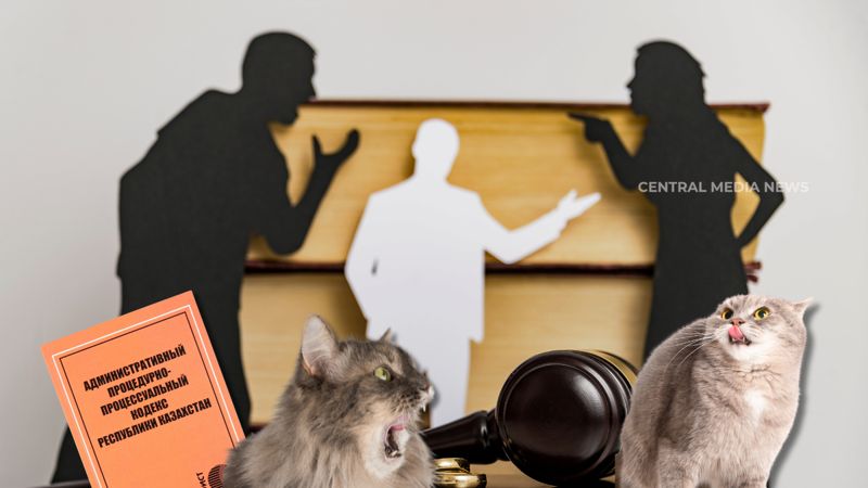 «Пусть горит в аду»: алматинку оштрафовали  на 500 тысяч тенге за дезинформацию про зоофила