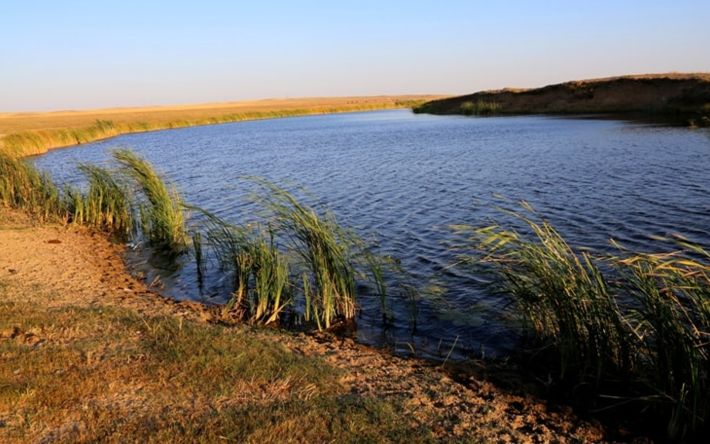 Двое детей утонили за один день на реке Каратал в Жетысу