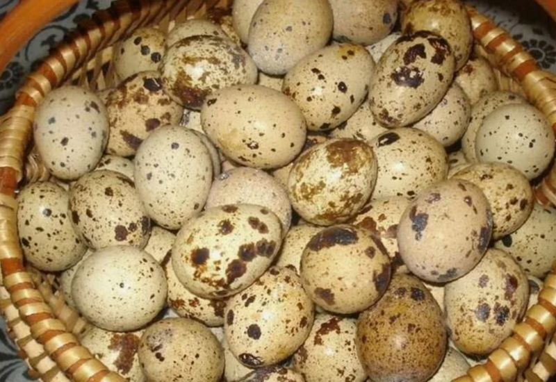 В Актау оштрафовали гипермаркет, который не брал на продажу местные яйца