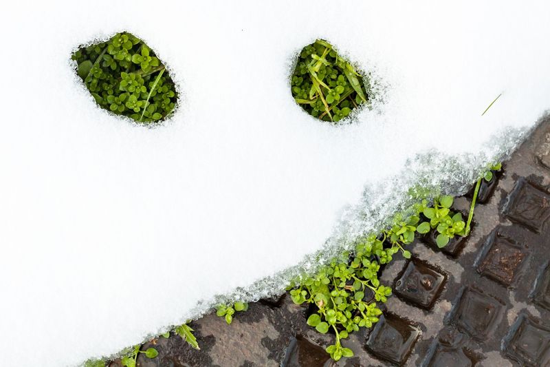 Весна идёт: какая погода ожидает казахстанцев с 5 по 7 марта