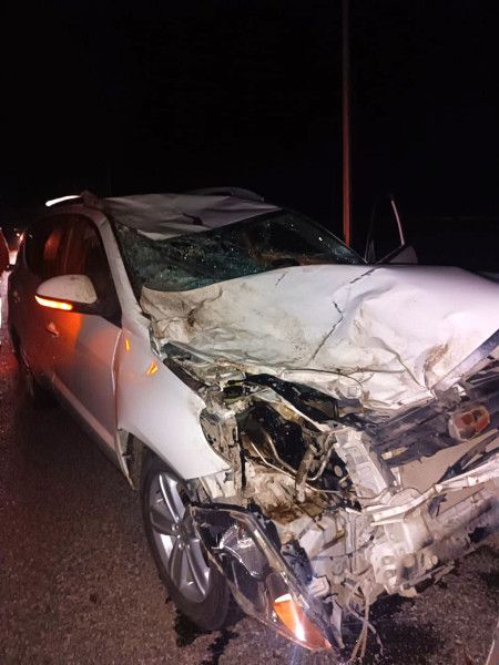 Хозяина верблюдов обязали оплатить ремонт разбитой в ДТП машины