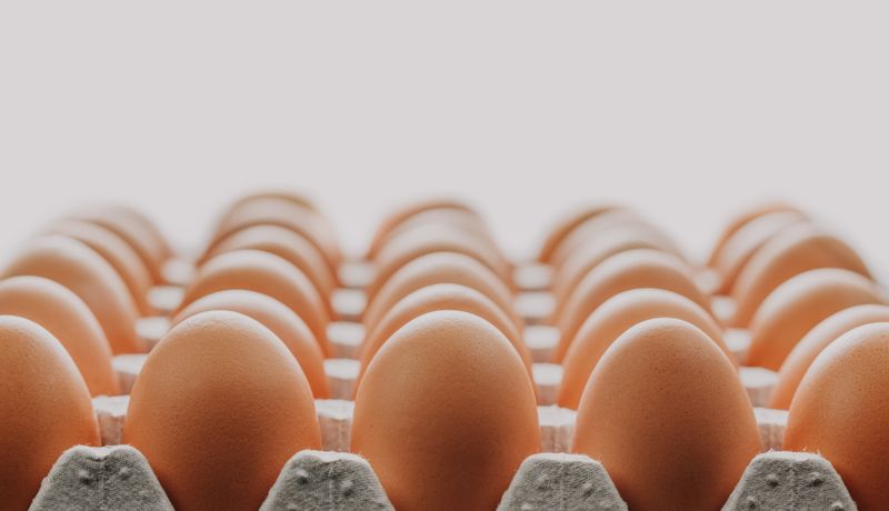 На нелегальную торговлю яйцами пожаловался чиновникам Союз птицеводов Казахстана