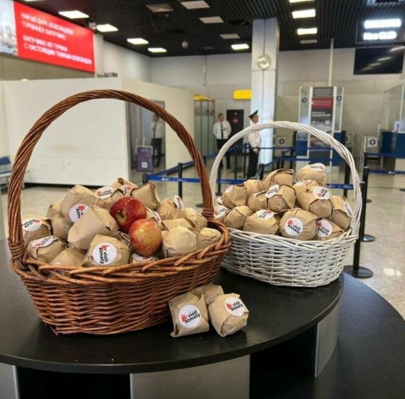 Пассажиров аэропорта Алматы угостят яблоками в День города