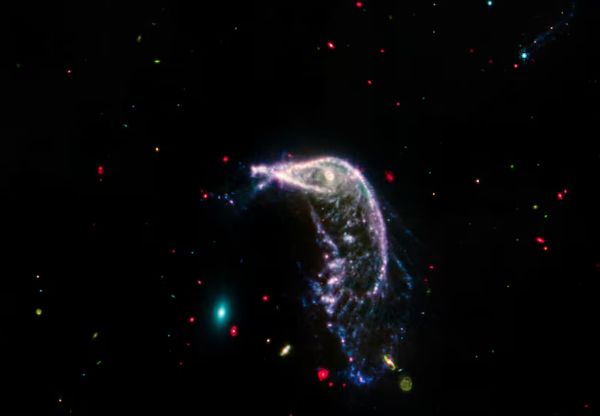Слияние двух галактик "Пингвин" и "Яйцо" запечатлели  ученые NASA