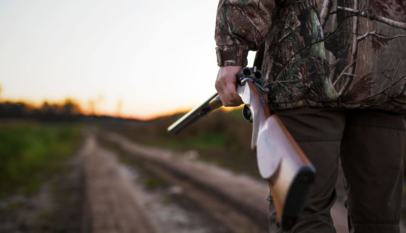 Двое жителей Кызылординской области обстреляли табун животных