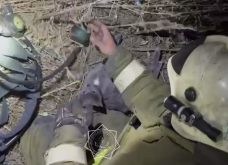 В ВКО пожарные вынесли кошку Бусю из горящего дома