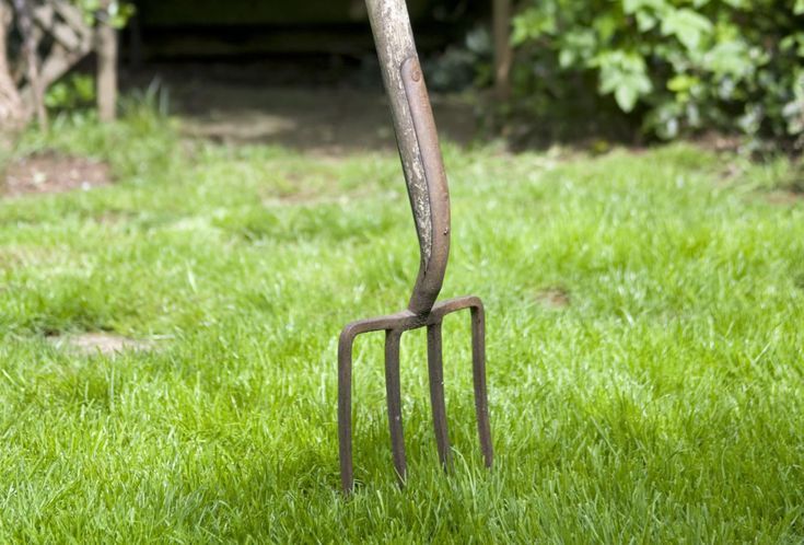 7-летний мальчик напоролся на вилы в Кызылординской области