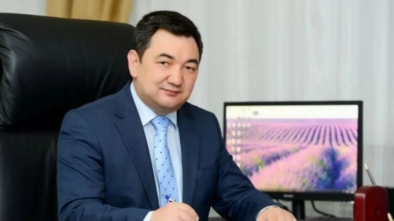 Убийство подростка в Талгаре: сенатор связывает жестокость молодёжи с влиянием сериалов и видеоигр