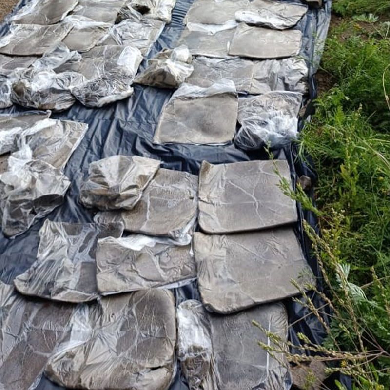 Канал контрабанды афганских наркотиков ликвидировали сотрудники КНБ