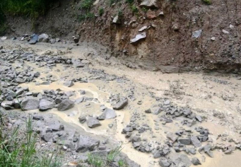 В Алматинской области грязевой поток затопил жилые дома