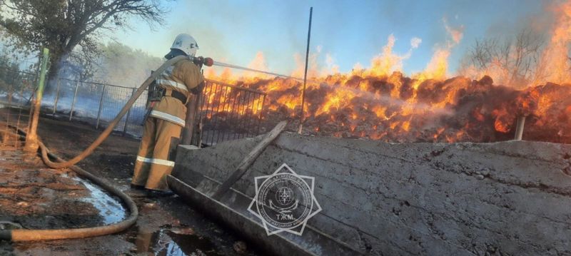 Восемь тысяч тюков сена горели в Туркестанской области