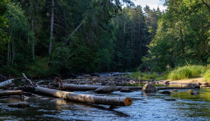 Пытался переехать реку: тело утонувшего водителя нашли в ВКО