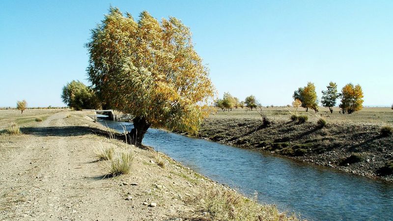 В Казахстане создали отдельный Комитет для борьбы с «черным рынком» воды