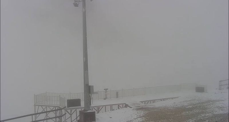 В горах Алматы выпал снег