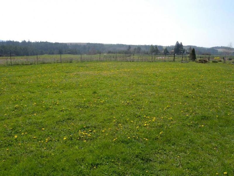 Земли на сумму 225 млн тенге возвращены государству