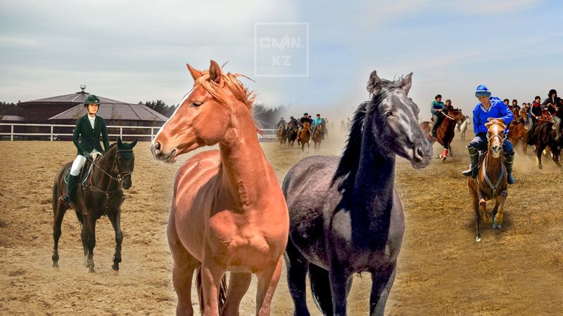 1,5 млрд коню под хвост? Почему казахстанские скакуны не покоряют мировые арены