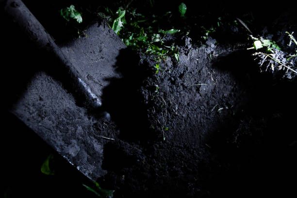 Зарезал и закопал во дворе дома: зверское убийство произошло в области Абай