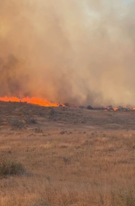 В Жамбылской области горит 1750 гектаров сухой травы