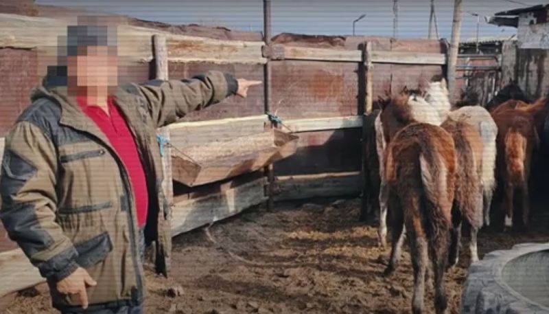 Главу крестьянского хозяйства подозревают в краже скота в Абайской области