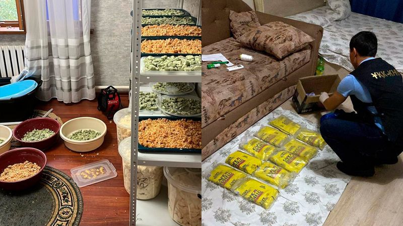 Наркотиков на 2 млрд изъяли при закрытии трёх нарколабораторий в Казахстане