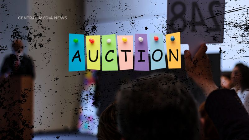 Вибраторы за 46 млн тенге  продавали на электронном аукционе