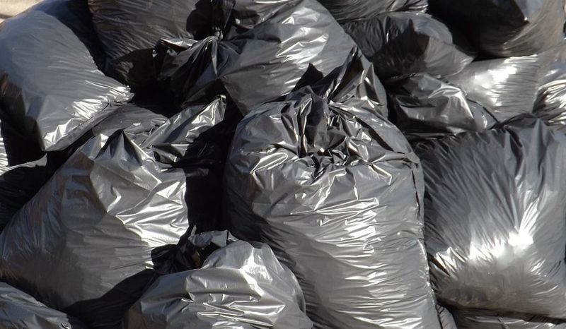 Тело младенца обнаружили при сортировке мусора в Алматы