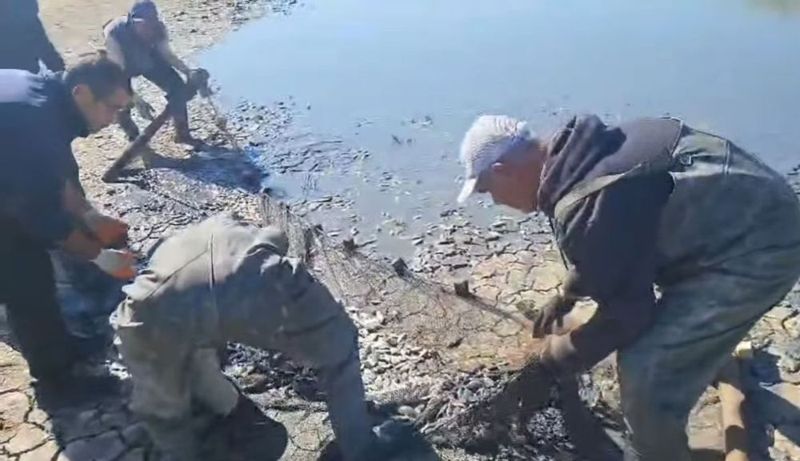 В Атырау из канала Соколок спасли более 4 млн мальков рыбы