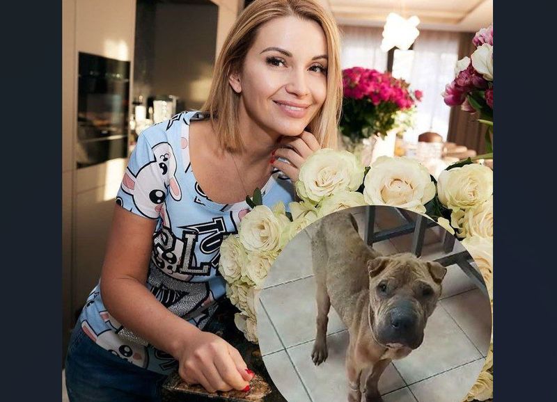 Российская певица оплатила лечение для умирающей собаки из Шымкента