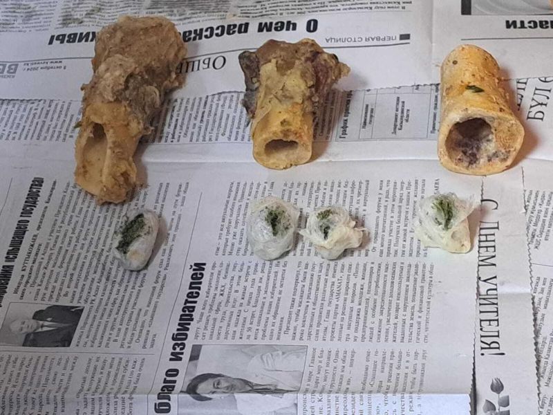 Наркотики в костном мозге пытались пронести в колонию в Кызылорде