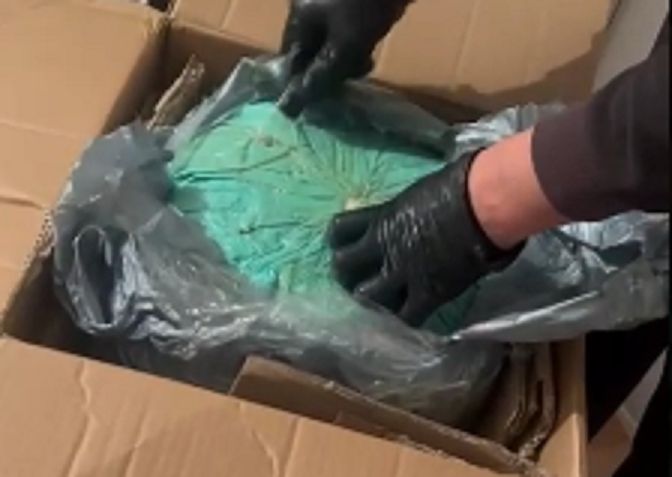 Крупный наркоканал ликвидировали в Акмолинской области